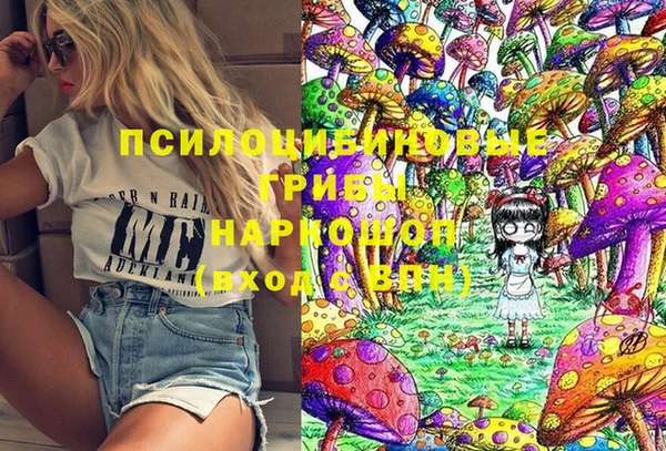 твердый Верхний Тагил